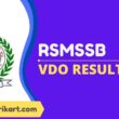 RSMSSB VDO Result 2021