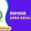 RSMSSB APRO result 2022