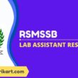 RSMSSB Lab Assistant Result 2022
