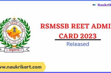 RSMSSB REET Admit Card 2023