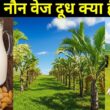 non veg milk