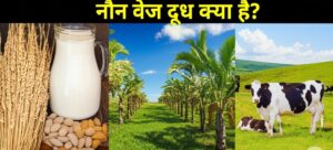 non veg milk
