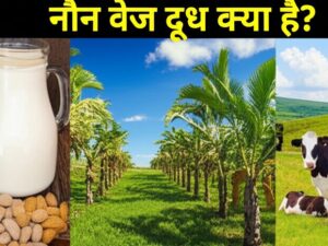 non veg milk
