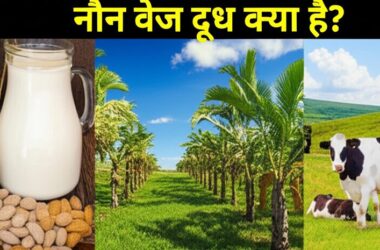 non veg milk