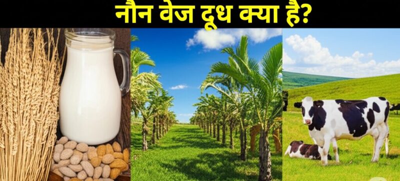 non veg milk